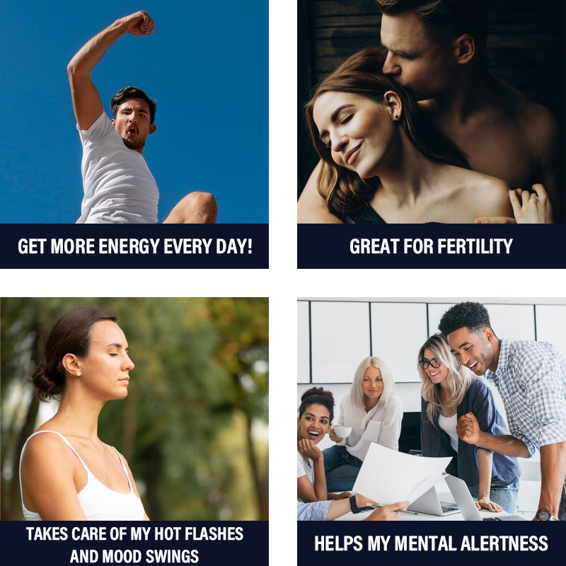 Oyster Maca Liquid Supplier - OEM Herbal Energy Drink Men Power