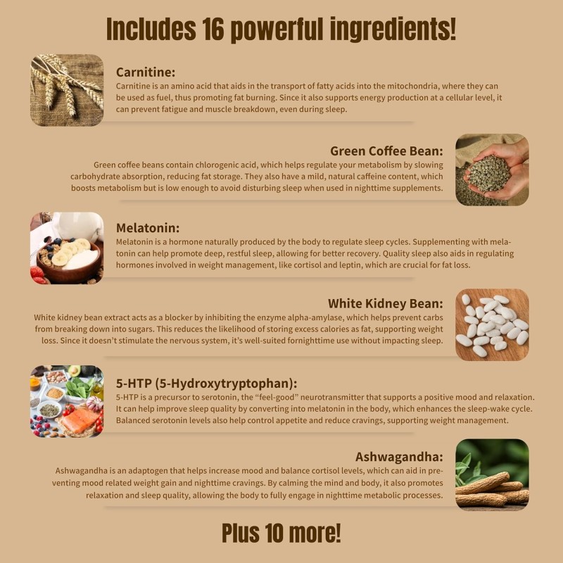 Weight Loss Capsules Factory - OEM Nighttime Continuous Fat Burn