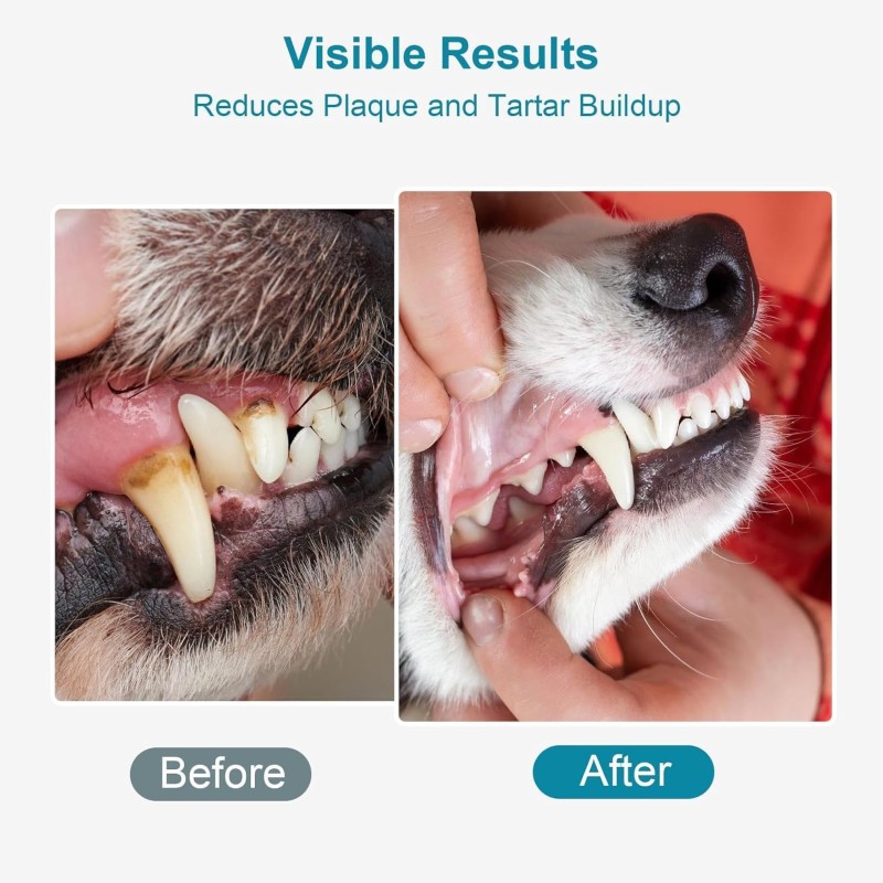 Pet Antibiotic Drops Supplier - OEM Cat Antibacterial Anti-inflammatory