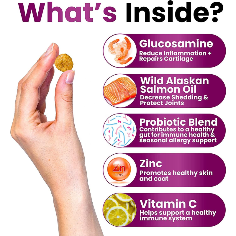 Dog Teeth Powder Manufacturer - OEM Natural Extract Oral Health