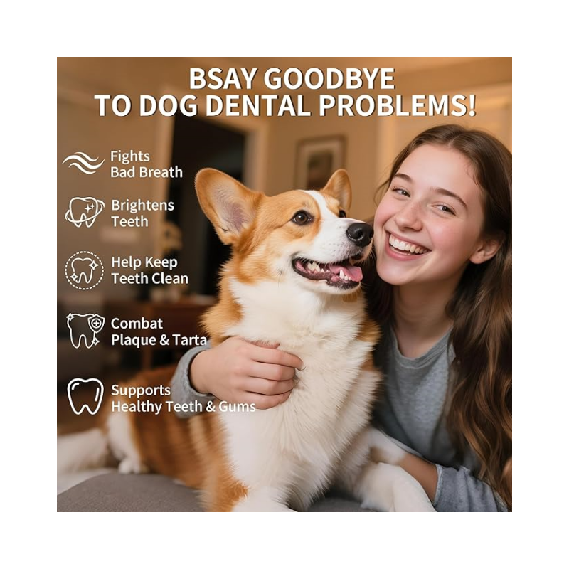 Pet Omega-3 Supplement Supplier - OEM Dog Fish Oil EPA DHA Skin