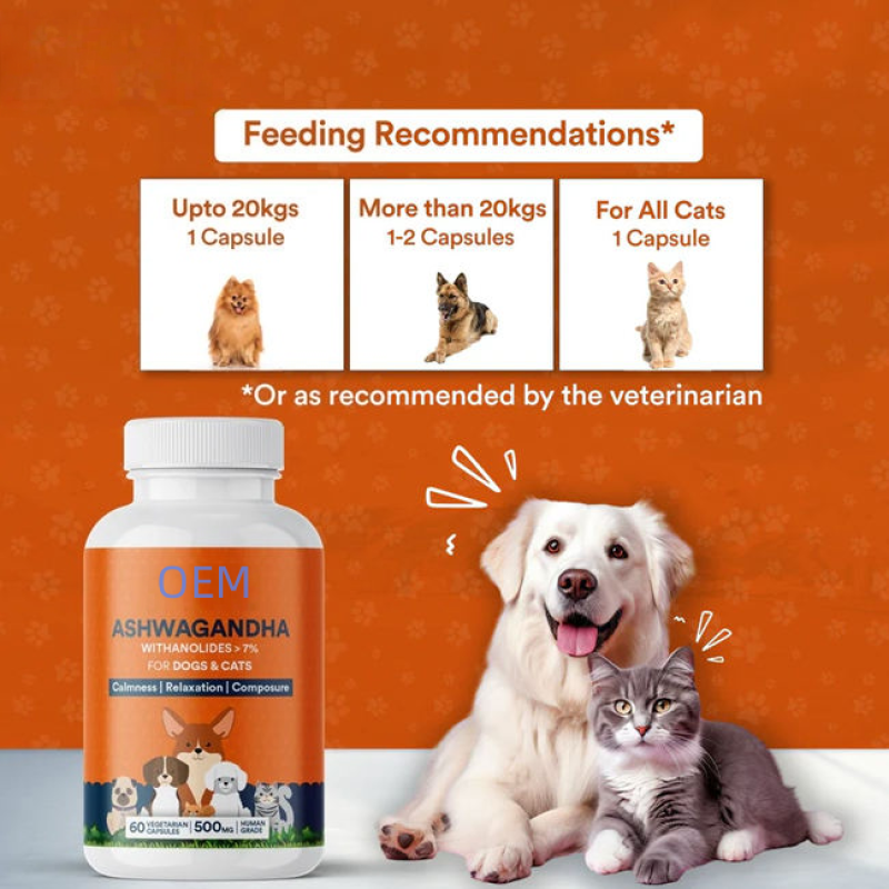 Dog Joint Supplements Factory - OEM Chewable Tablets Multi Vitamin