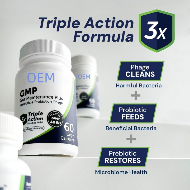 Pet Vitamin E Supplement Manufacturer - OEM Dog Immunity Enhancement