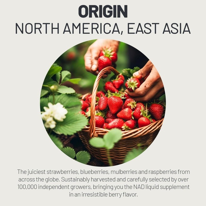 Electrolyte Powder Factory - OEM Beverage Mix 5 Essential Vitamins