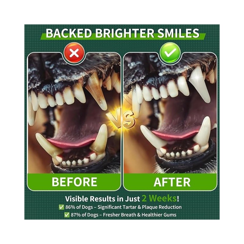 Pet Omega-3 Supplement Supplier - OEM Dog Fish Oil EPA DHA Skin