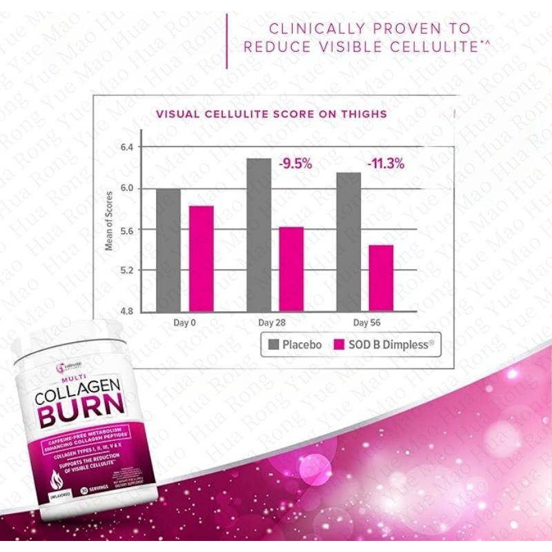Prebiotic Fiber Powder Manufacturer - OEM Fructooligosaccharides FOS