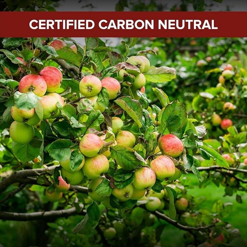 Apple Cider Vinegar Capsules Supplier - OEM Extra Strength Motherwort