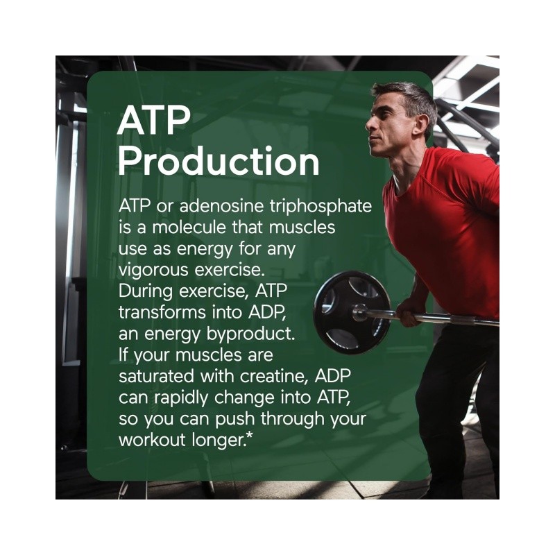 Creatine Capsules Manufacturer - OEM 2500mg Monohydrate 5g Pure