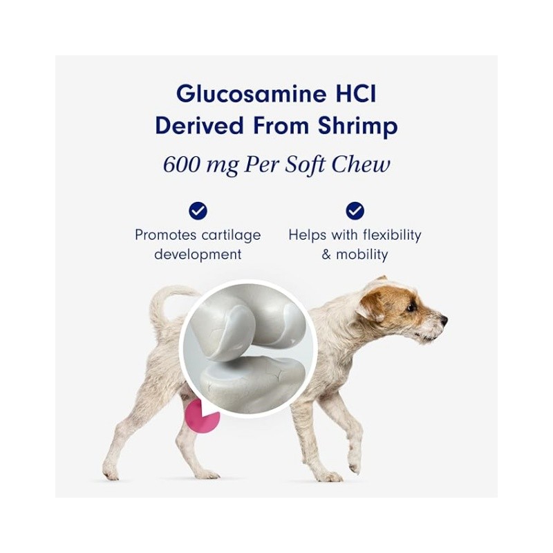 Dog Tooth Powder Manufacturer - OEM Dental Plaque Bad Breath Reduction