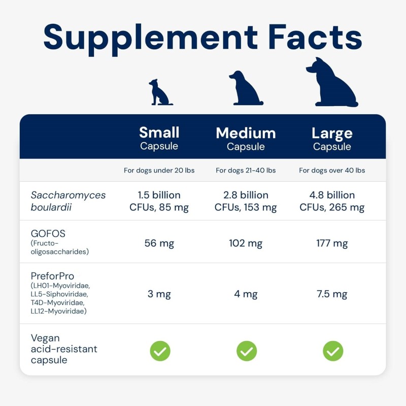 Pet Vitamin E Supplement Manufacturer - OEM Dog Immunity Enhancement