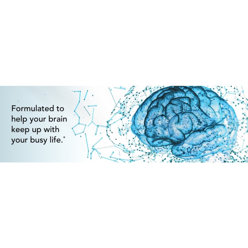 PQQ Capsules Supplier - OEM Brain Health Memory Enhancement