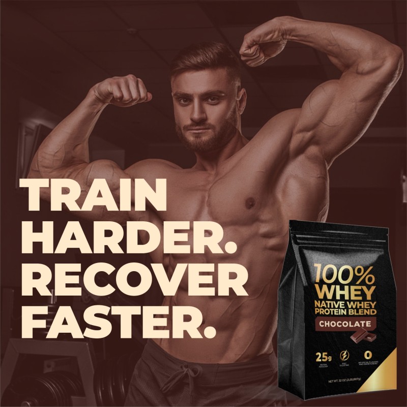 Whey Protein Powder Manufacturer - Chocolate Flavour Muscle Recovery