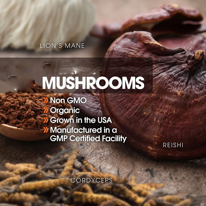 Mushroom Extract Powder Supplier - 12 in 1 Blend Lions Mane