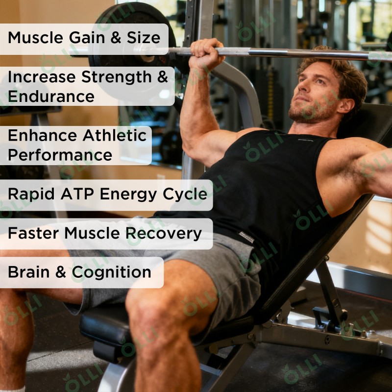 Creatine Lollipop Factory - Energy Boosting Sport Supplement