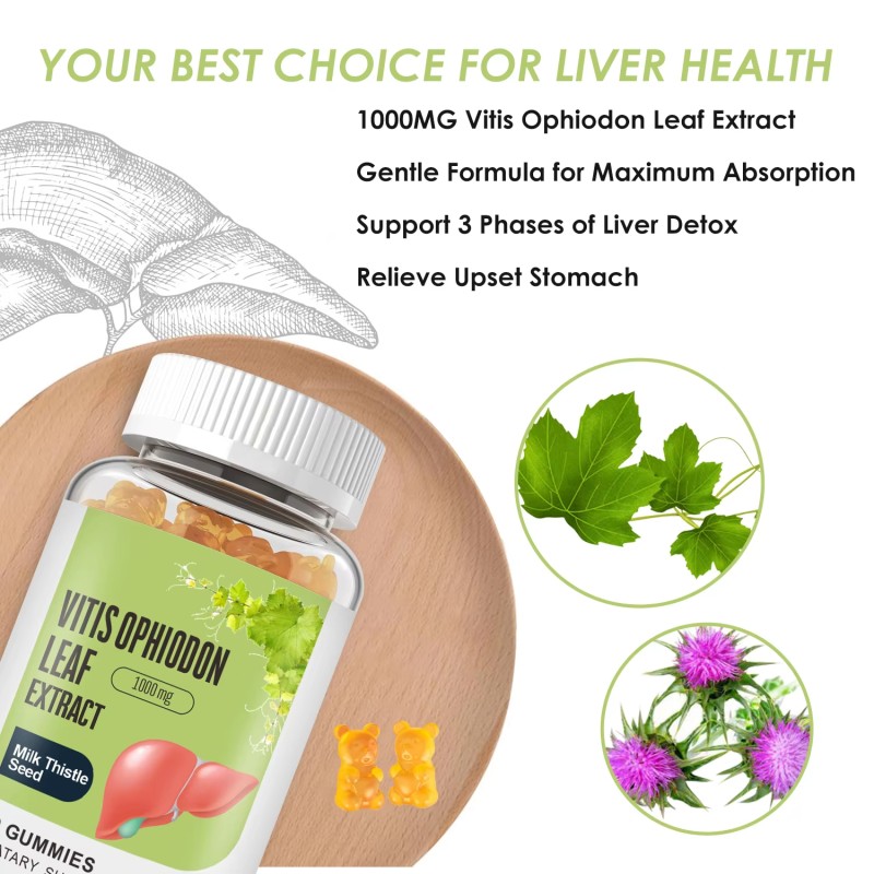 Wellness Gummy Factory - Vitis Leaf Milk Thistle Extract