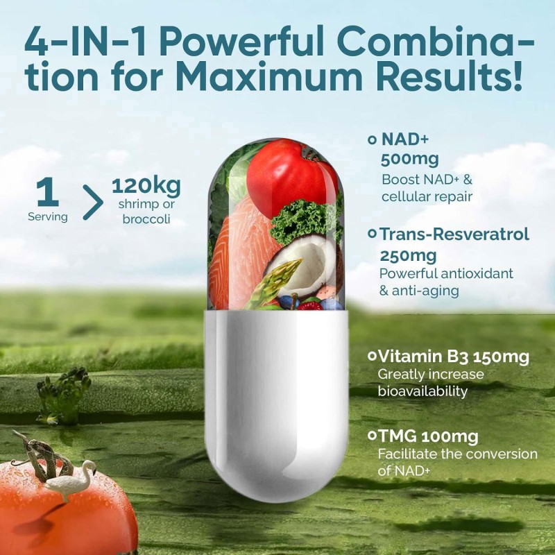 NAD Supplement Factory - Nicotinamide Riboside Resveratrol