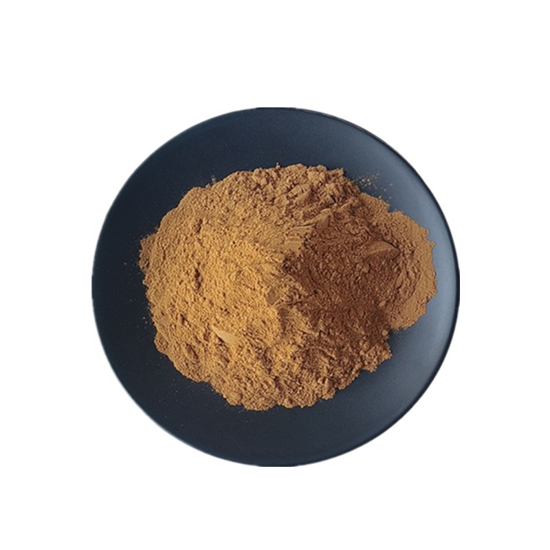 Mushroom Extract Powder Supplier - 12 in 1 Blend Lions Mane