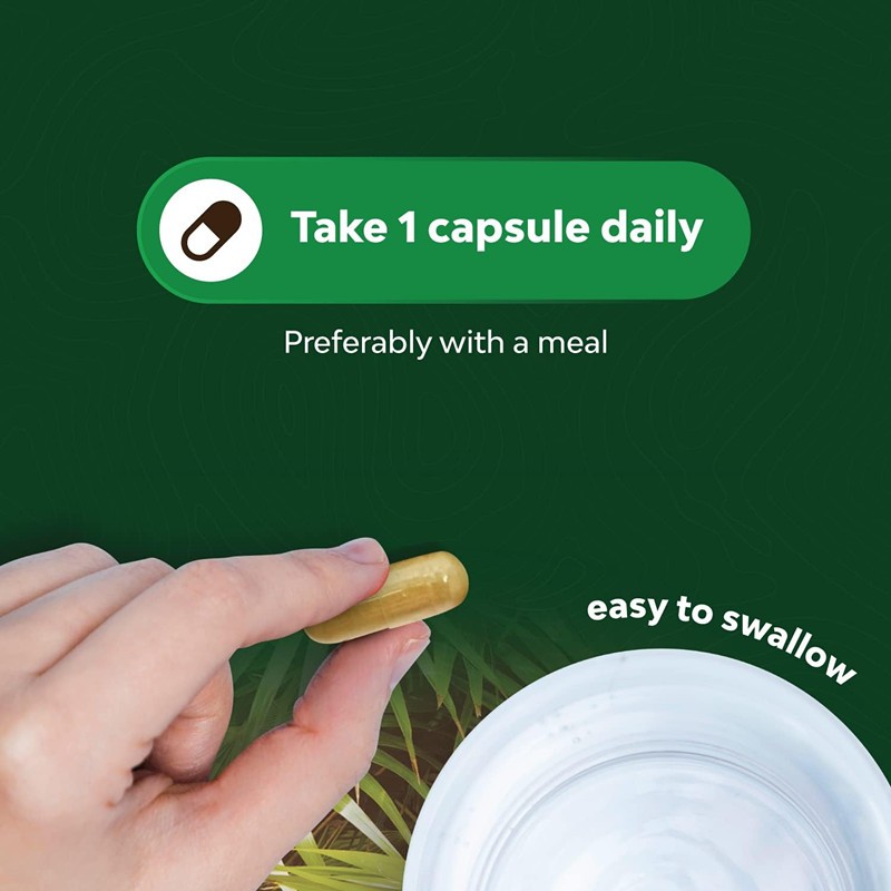 Saw Palmetto Capsules Supplier - Gluten-Free Hair Loss Prevention