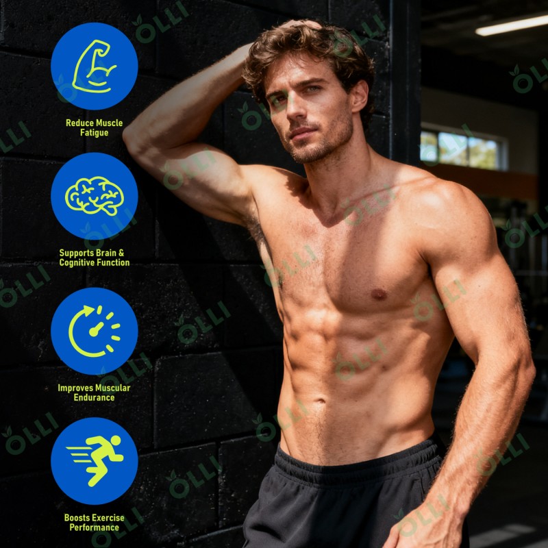 Creatine Lollipop Manufacturer - Halal Vegan Organic Wholesale