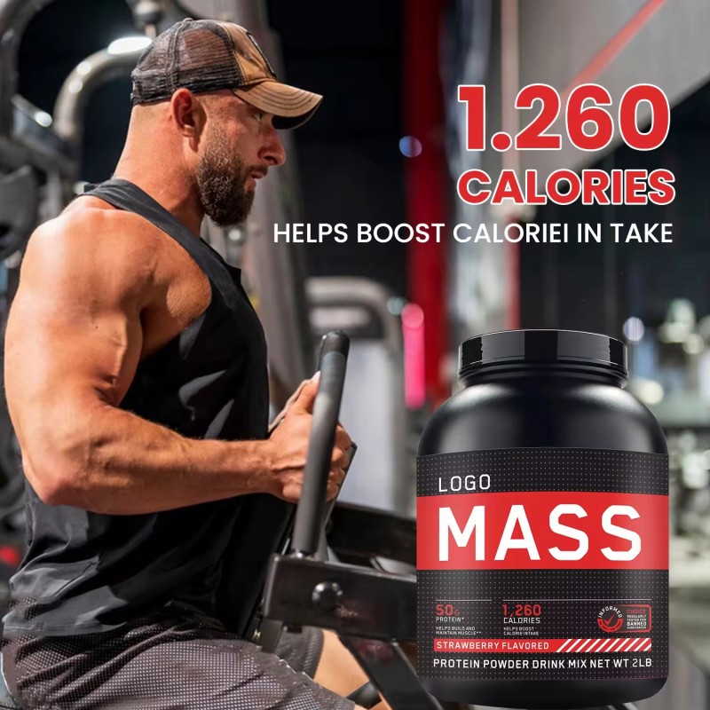 Mass Gainer Supplement Manufacturer - Whey Protein Creatine BCAA