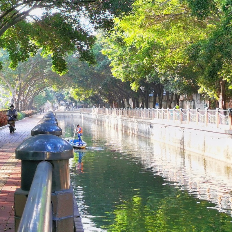 Specialized Bacterium for Wastewater Treatment,Clean Water,Reduce COD BOD TSS Level,Eliminate Sewage Smell