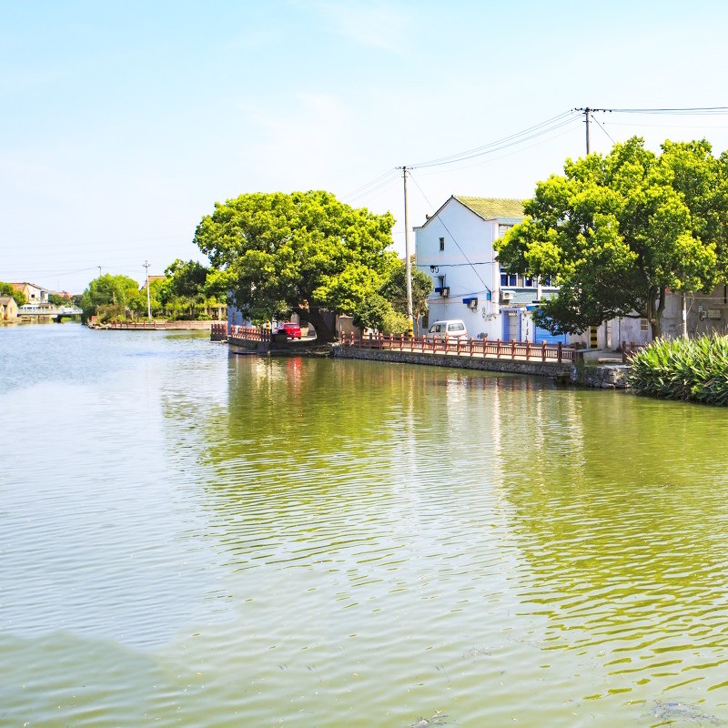 Specialized Bacterium for Wastewater Treatment,Clean Water,Reduce COD BOD TSS Level,Eliminate Sewage Smell