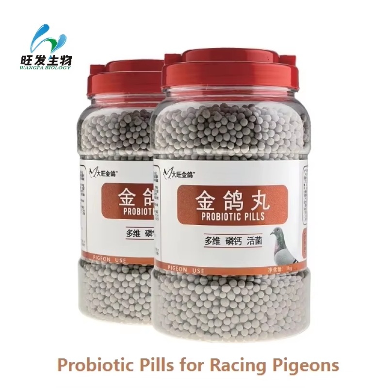 Probiotic Pills for Racing Pigeons Supplement of Calcium, Phosphorus and Probiotics