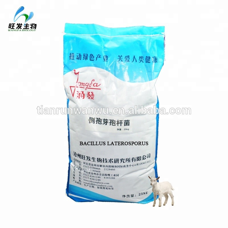 Probiotics Bacillus Subtilis Bacillus Laterosporus