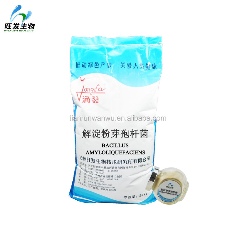 Biological Control Agent- Bacillus Amyloliquefaciens