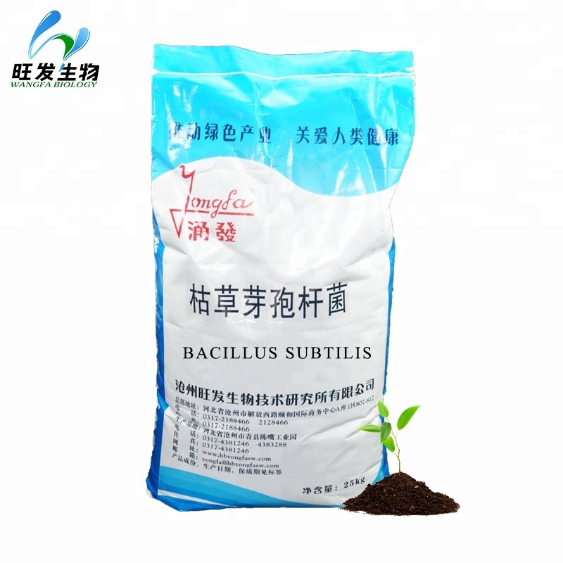 Feeding Soil Microbes Microbial Inoculum Bacillus Subtilis