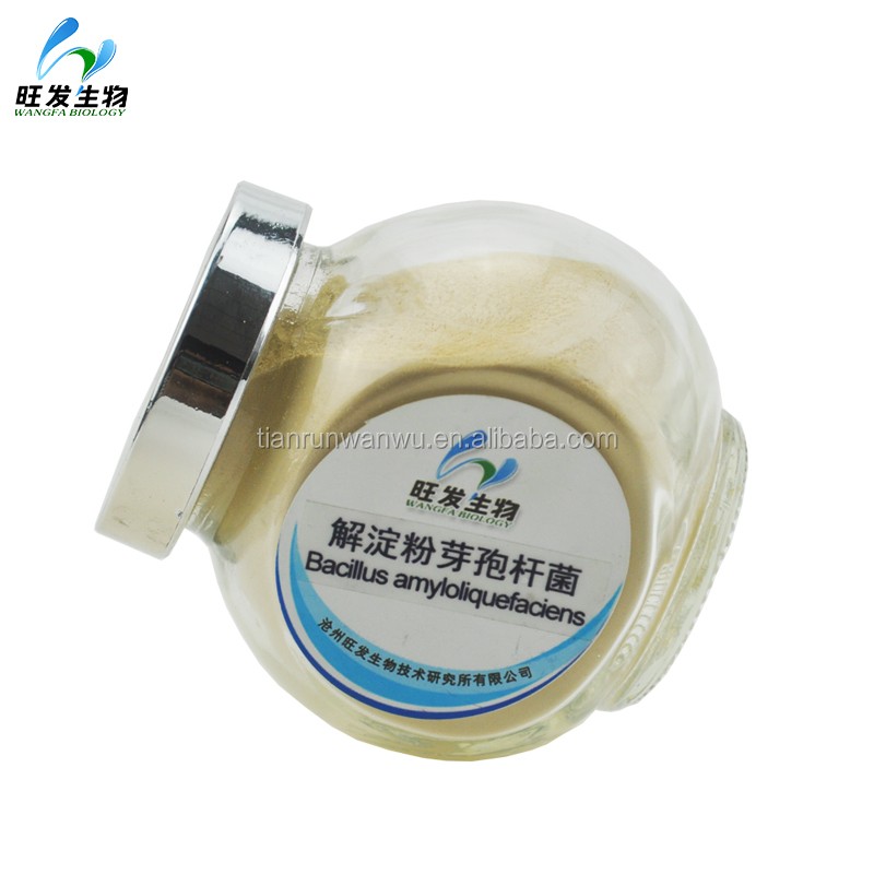 Biological Control Agent- Bacillus Amyloliquefaciens