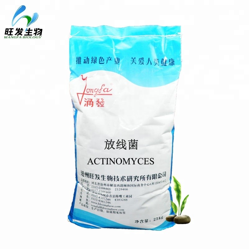 Actinomyces for Agriculture Plant Anti Disease