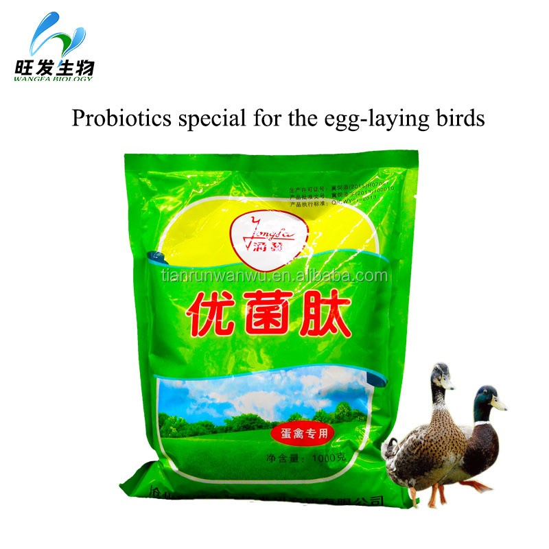 Strengthen the Eggshell Hardness-egg-laying Poultry Feed Additive Probiotics