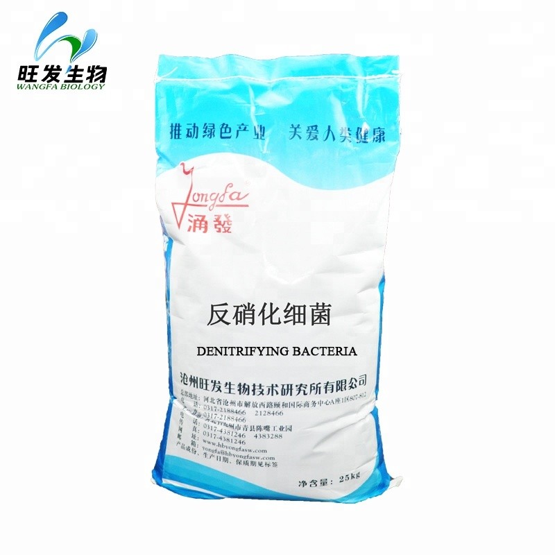 Denitrifying Bacteria