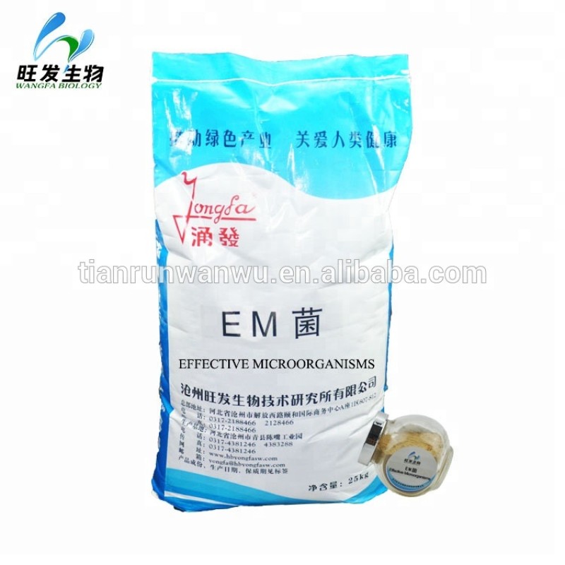 Agricultural EM Bacteria Effective Microorganisms for Poultry and Livestock Breeding