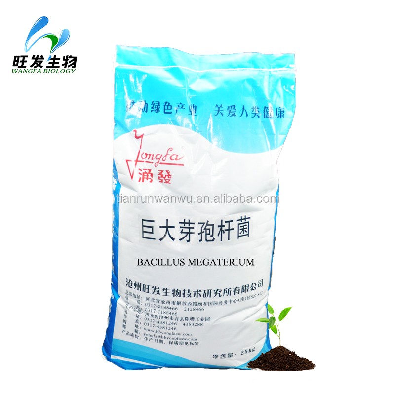 Bacillus Megaterium(phosphate Solubilizing Bacteria)