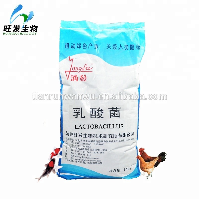 Lactic Acid Bacteria Powder Lactobacillus for Agriculture Animals