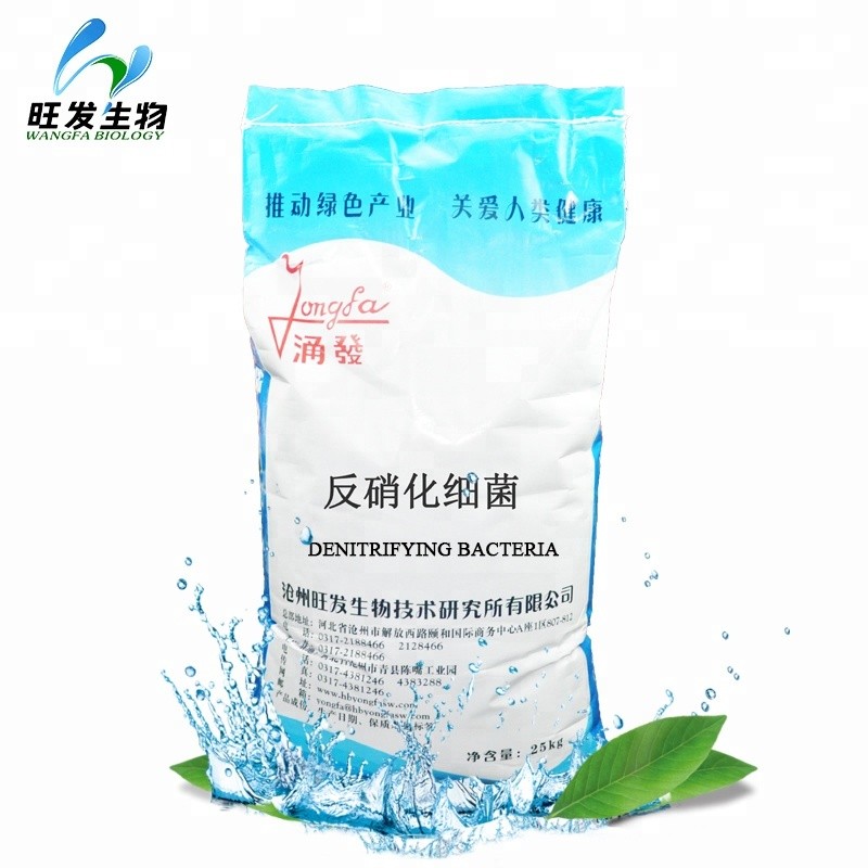 Denitrifying Bacteria