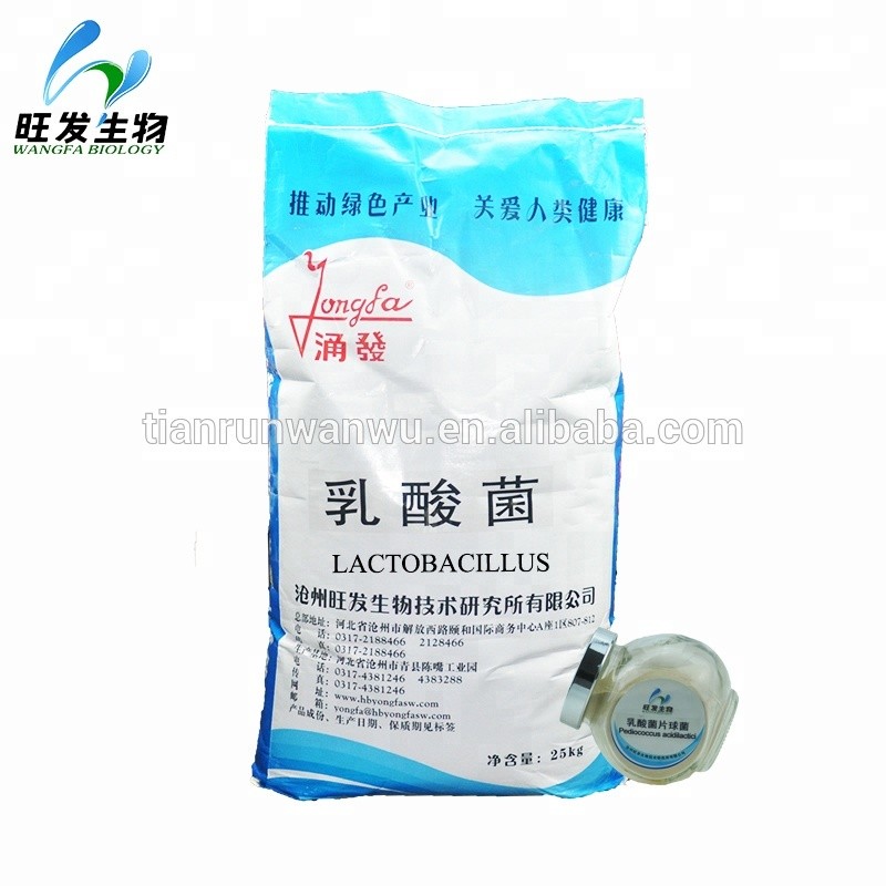 Lactic Acid Bacteria Powder Lactobacillus for Agriculture Animals