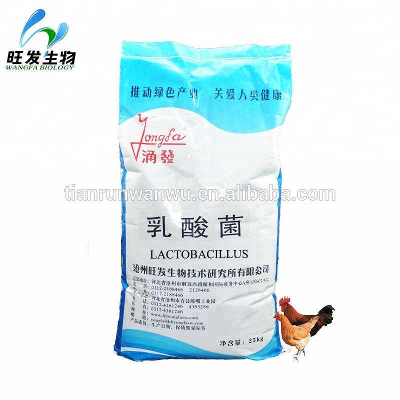 Lactic Acid Bacteria Powder Lactobacillus for Agriculture Animals
