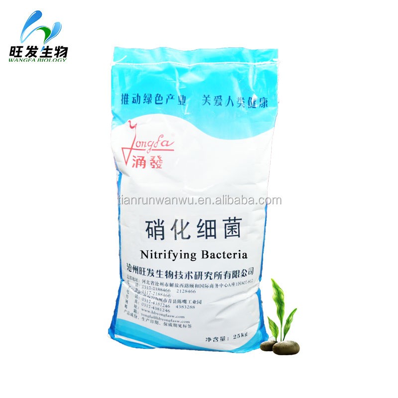 Nitrifying Bacteria for Degrading the Ammonia, BOD and COD in Sewage Treatment Plant