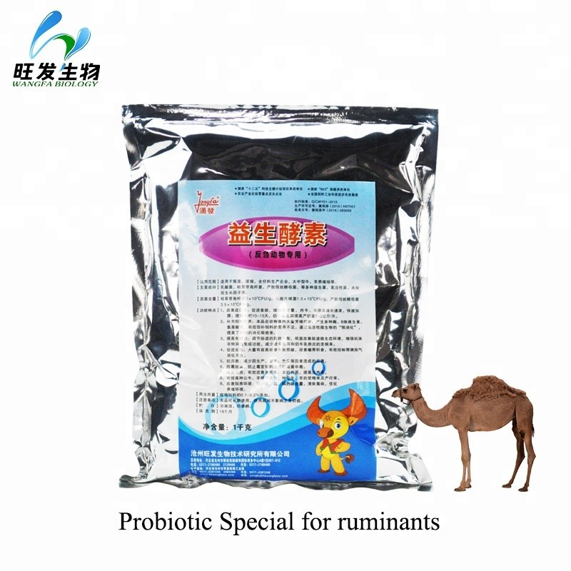 Best Selling Feed Affitive Probiotics for Ruminant Animals Cow Sheep Goat Cattle