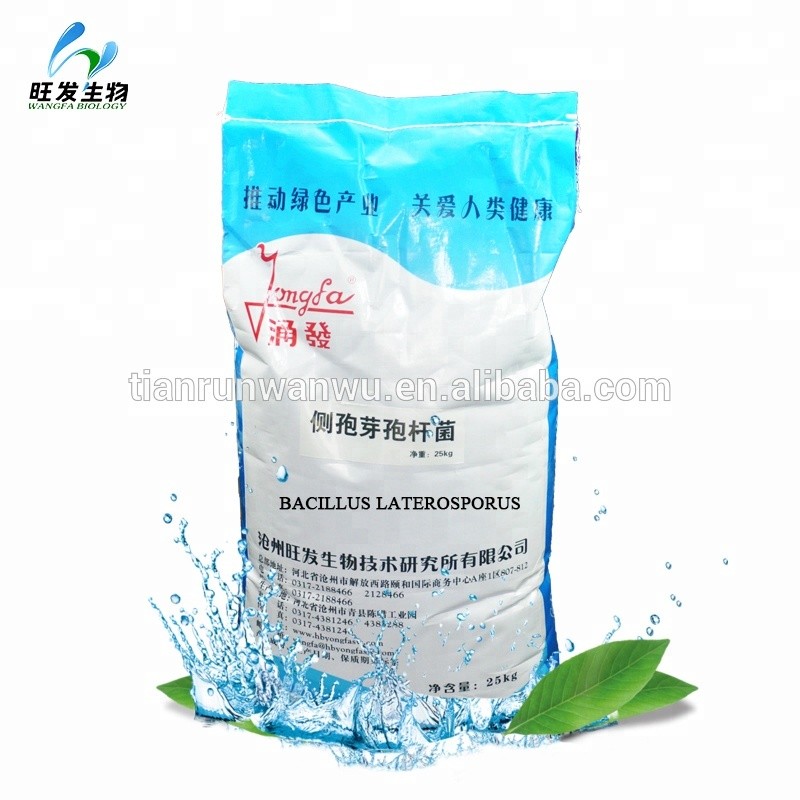 Probiotics Bacillus Subtilis Bacillus Laterosporus