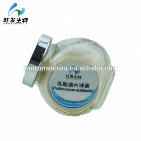 Lactic Acid Bacteria Powder Lactobacillus for Agriculture Animals