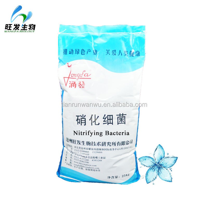 Nitrifying Bacteria for Degrading the Ammonia, BOD and COD in Sewage Treatment Plant