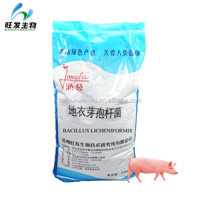 Feed Grade Probiotics Feed Additives Bacillus Licheniformis