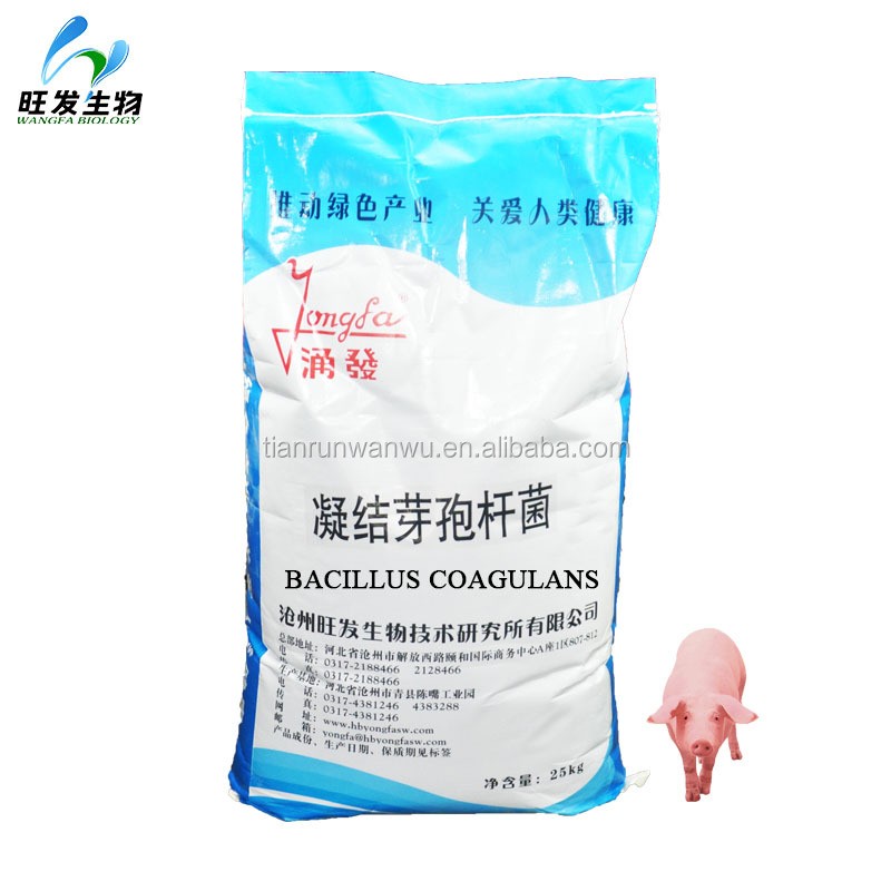 (Lactic Acid-forming Bacillus Bacteria) Bacillus Coagulans