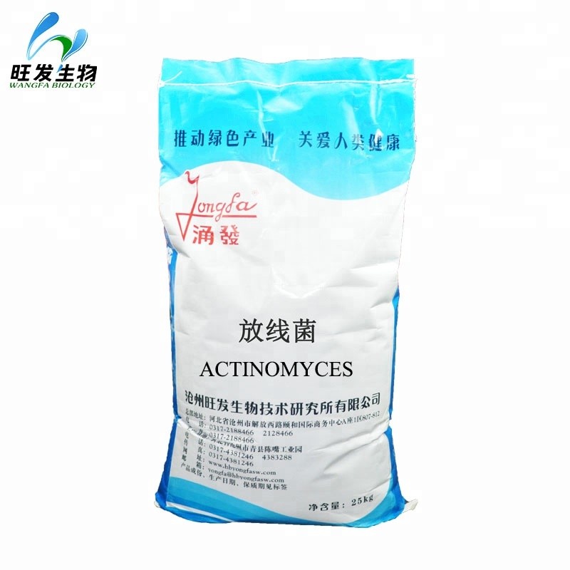 Actinomyces for Agriculture Plant Anti Disease