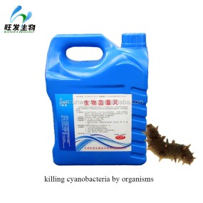 Microbiological Products for Decomposing the Cyanobacteria