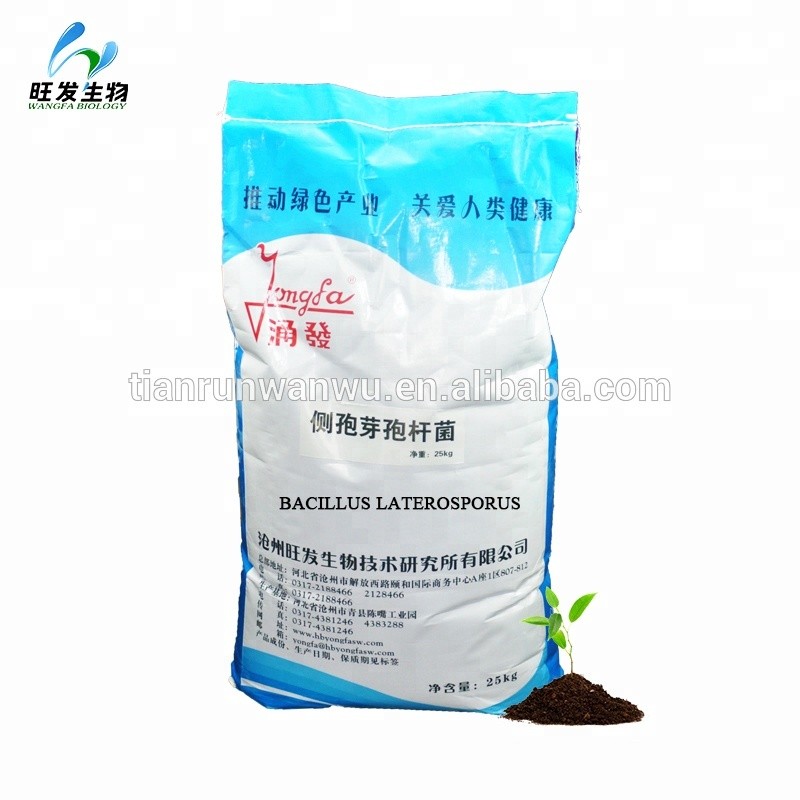 Probiotics Bacillus Subtilis Bacillus Laterosporus